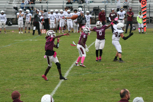 IMG-0378.jpg