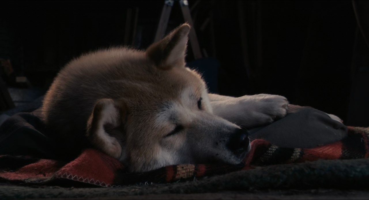 Hachi: A Dog's Tale Screenshot