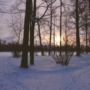 DSCF1002