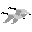 bird16