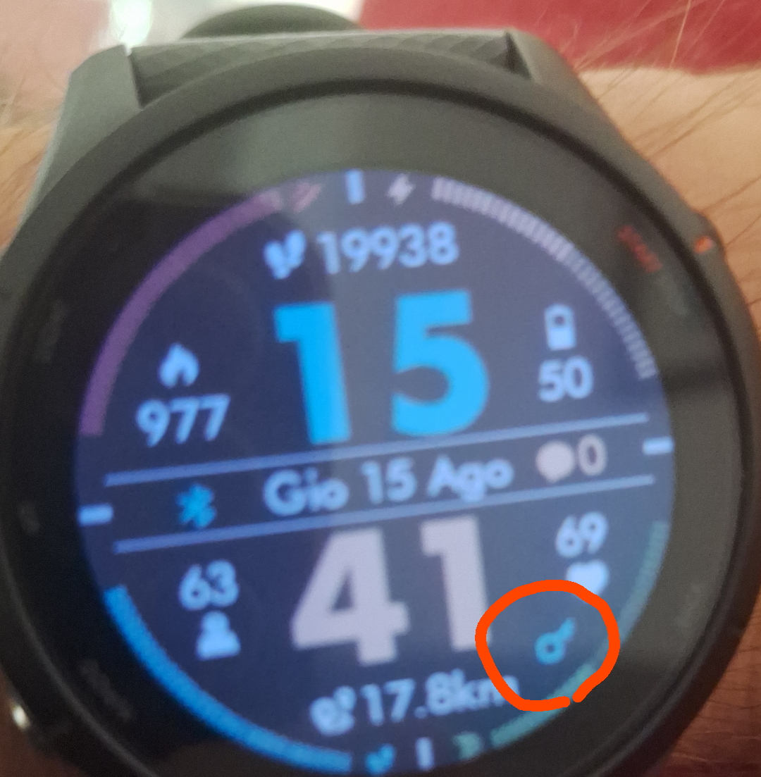 https://i.ibb.co/VWx6p1hr/19938.jpg
