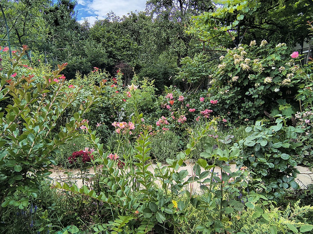 garden.jpg