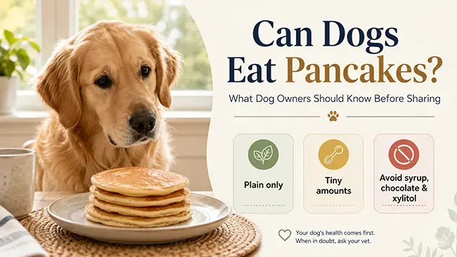 Can Dogs Safely Eat Pancakes?