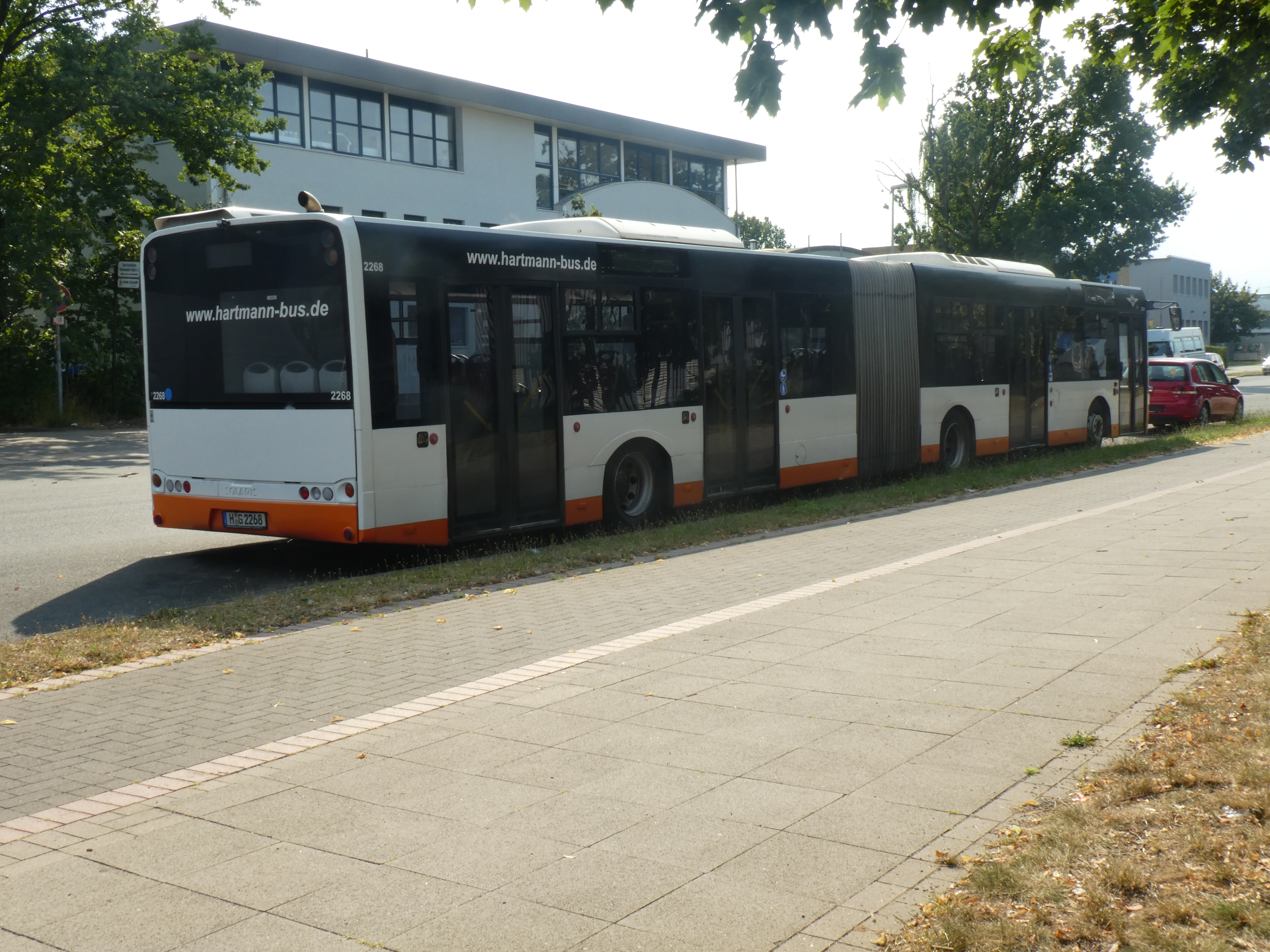 i.ibb.co/VWz9L7nL/Hartmann-2268-3.jpg