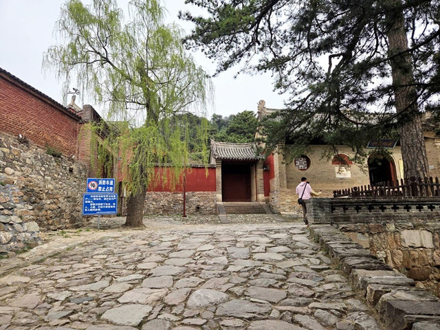 85.jpg
