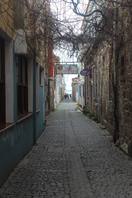 IMG-3556