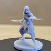 Assassin female
