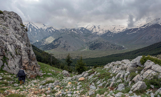 DSC00386 (2).jpg