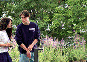 53Untitled 3.gif