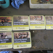 IMG-4512
