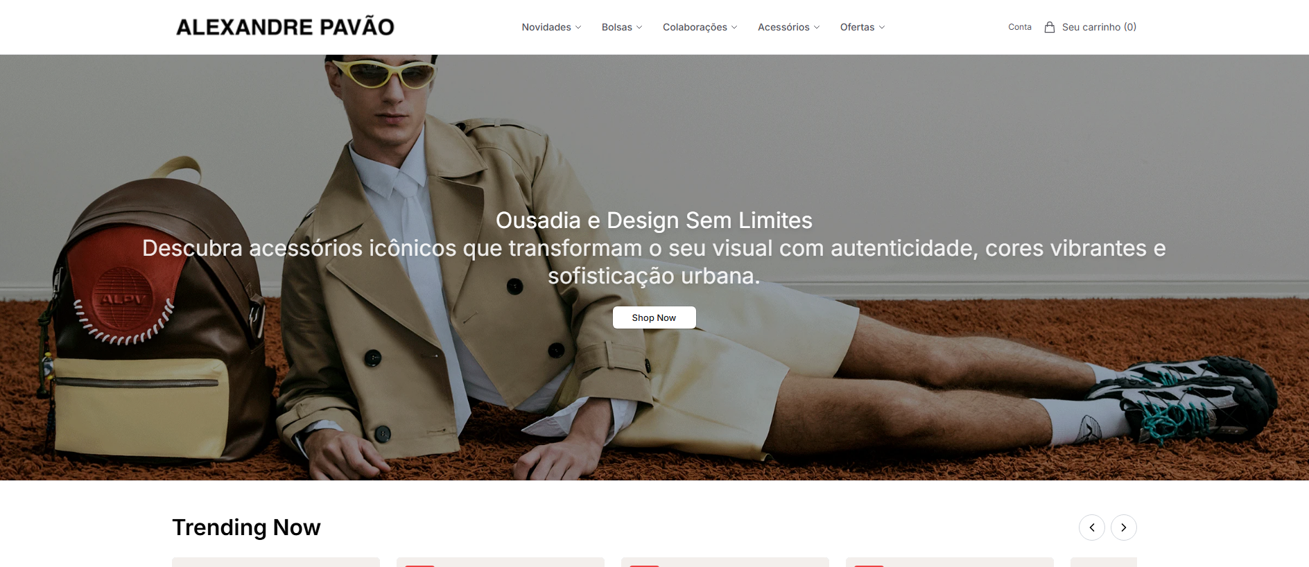 Stored capture of alexandrepavaohq.shop