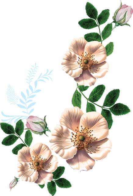14ef99f4af83c609fe00a6d3417a24fe.png