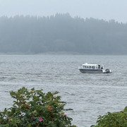 IMG 4381