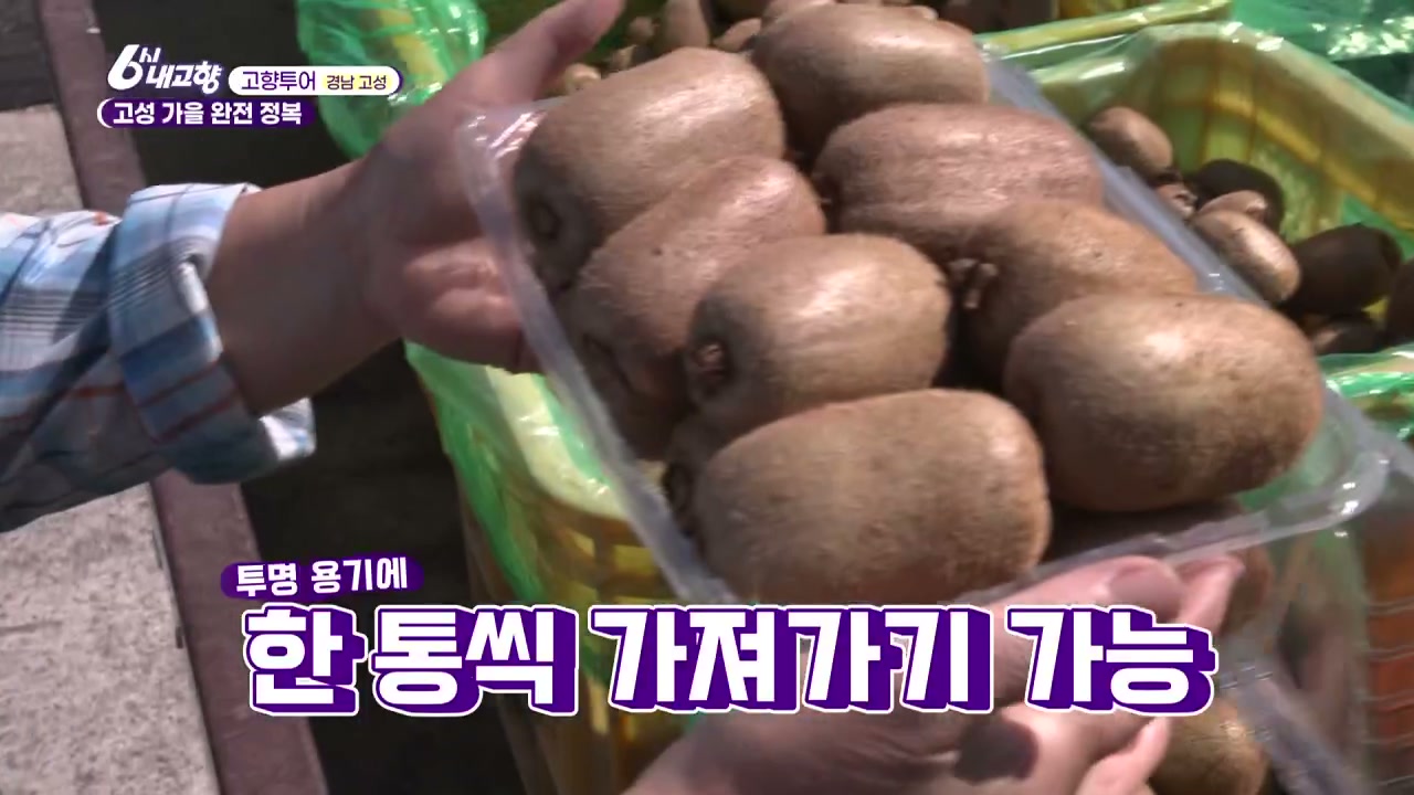 6시내고향 고향투어 고성 참다래 추가 캡처 2
