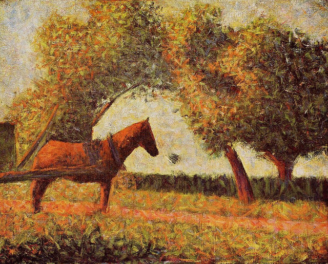 41