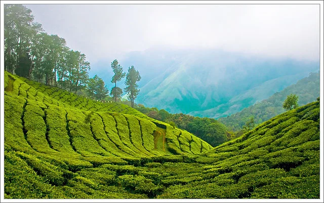 640px Munnar Top station (1).webp