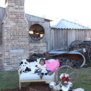 IMG-6282