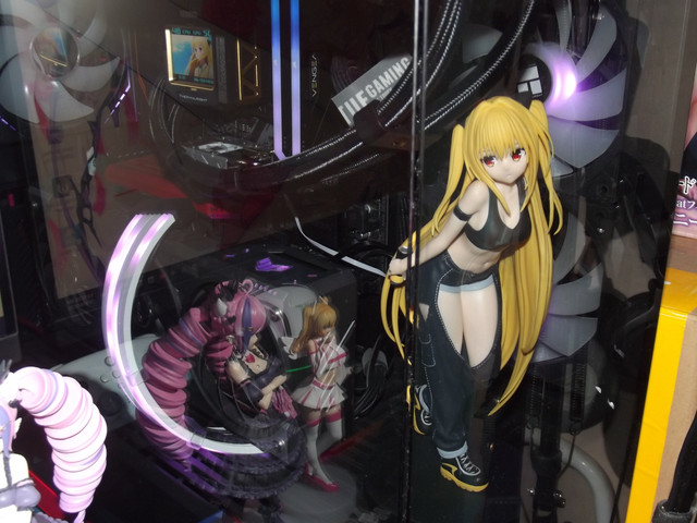 DSCF3031.jpg