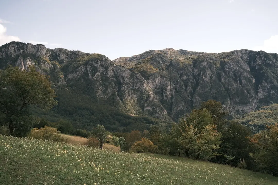 Motivul ascuns pentru care blochezi abundența financiară