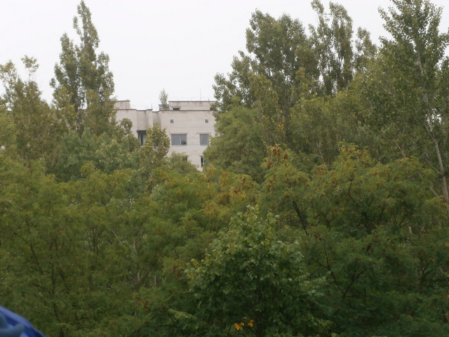 OLYMPUS-DIGITAL-CAMERA.jpg