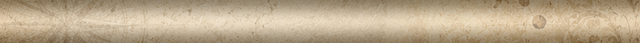 p header.png