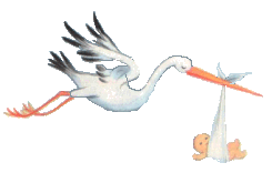stork.gif
