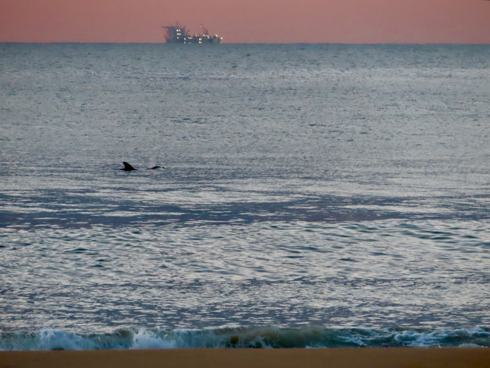 30+ лет в США. Заметки русско-американского пенсионера.