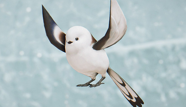 Silver-Dasher-3.jpg