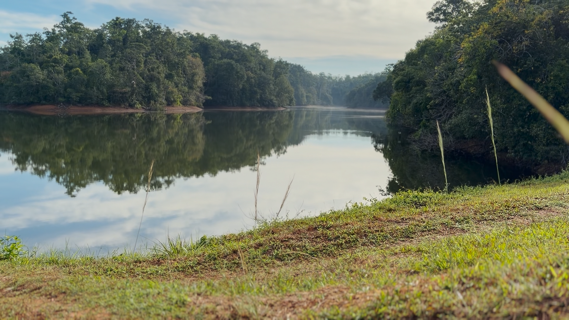 Forest tank at Ellakanda