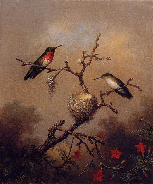 Ruby-Throated-Hummingbird