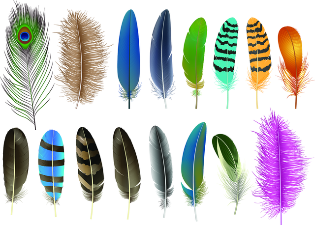 shutterstock 1177181560.png