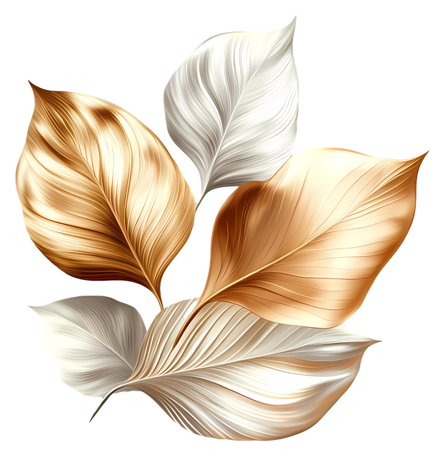8a7463d282a792a2c1152434b9545eca.png