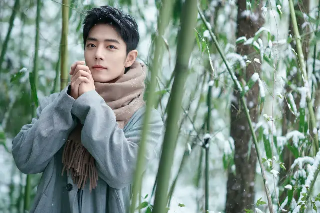 xiao zhan 1251848