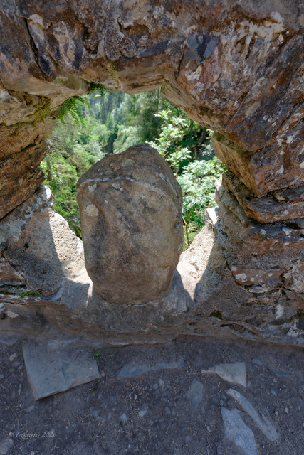 DSF6378.jpg