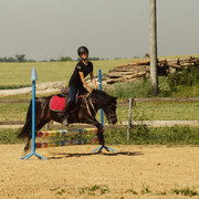 DSC03818