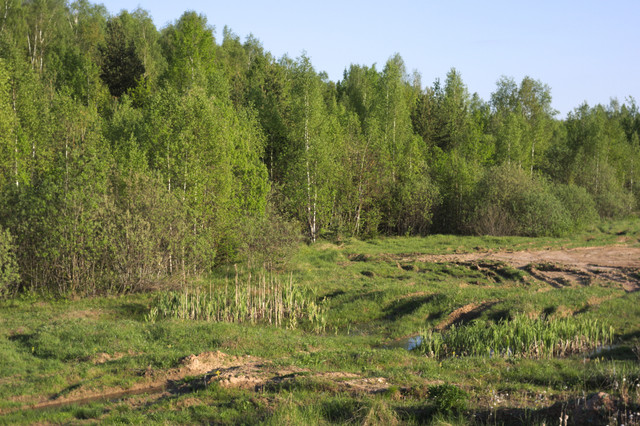 DSC3520.jpg