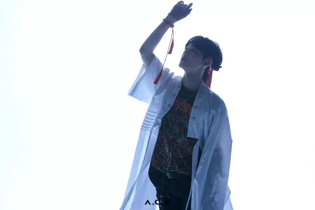 chan a c e 1109610