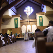 IMG-8520