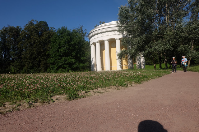 DSCF9466.jpg