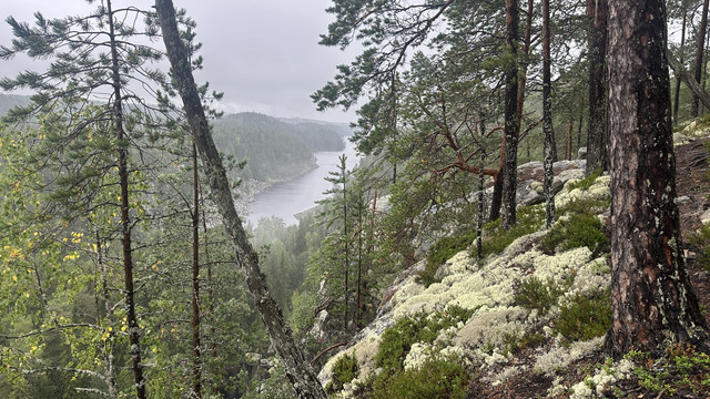 IMG 4895.jpg