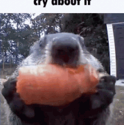 cry-about-it.gif