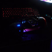 Swarmfire35