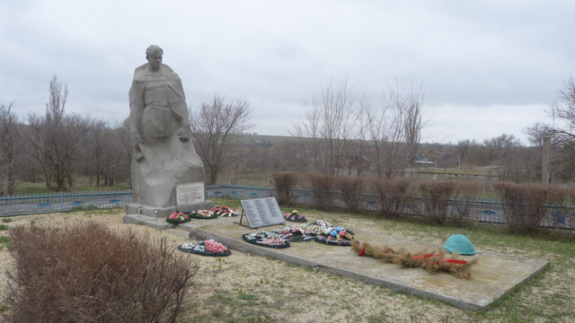 https://i.ibb.co/VZXp11n/image.jpg