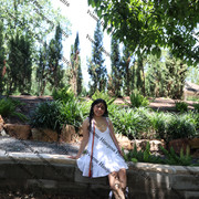 IMG 6139
