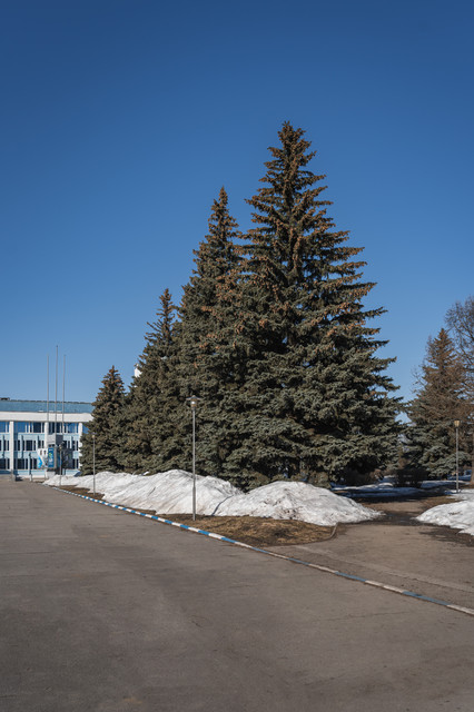 A7300149.jpg