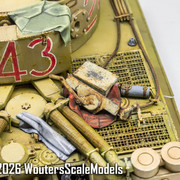 Afrika Tiger 123