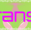 Area51 Header