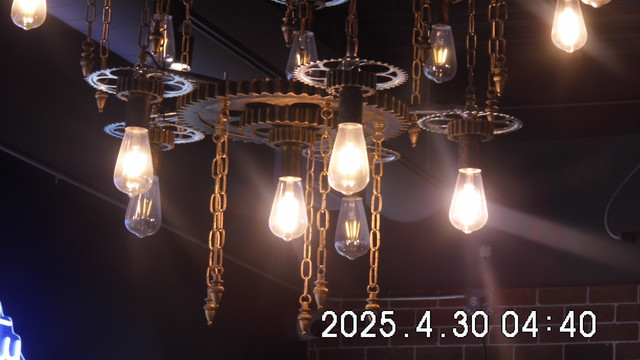 DSCI0095