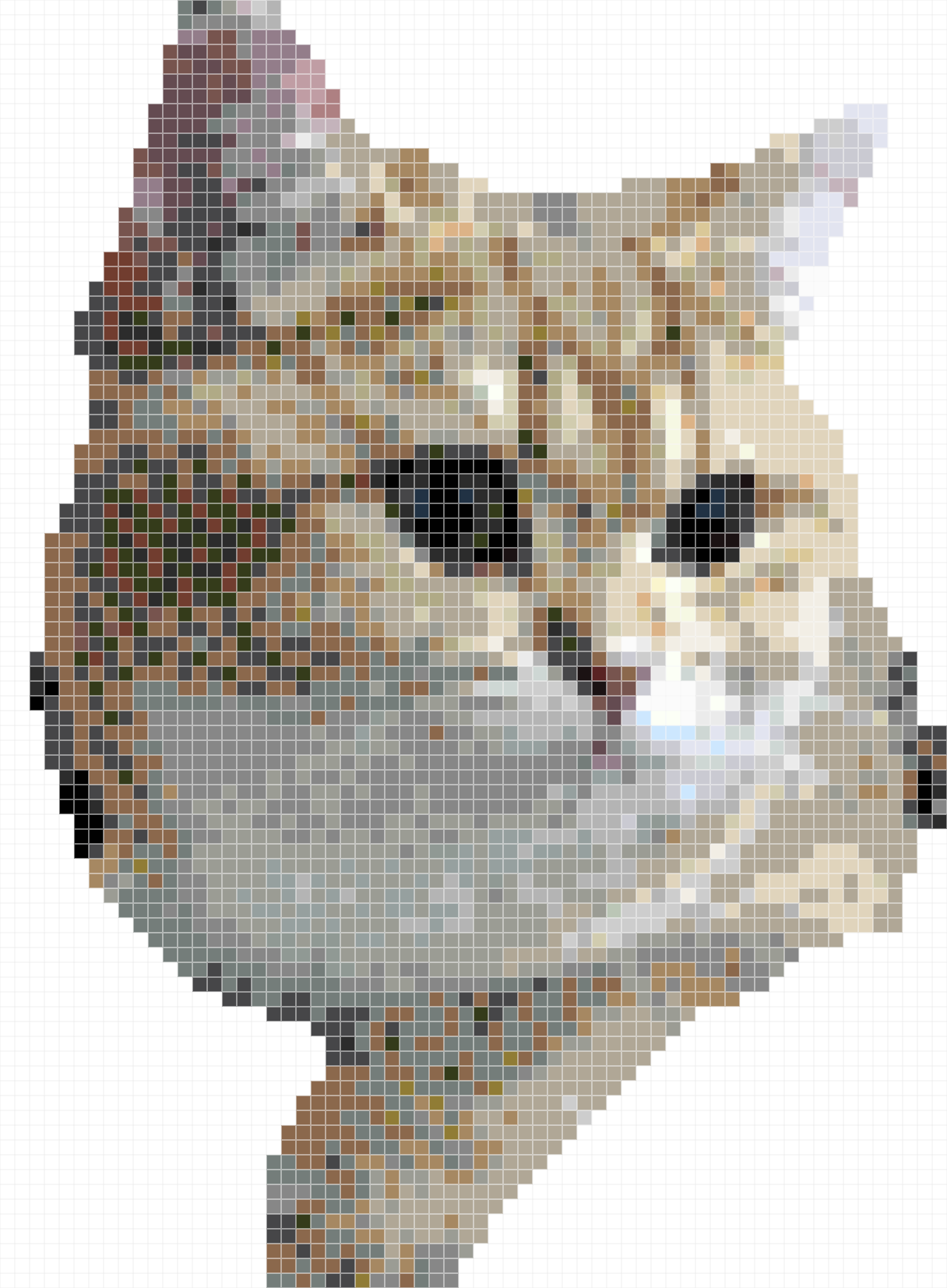 Make a Unique Portrait  for my cat