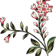 70ffd5fb8bc2b1032d73f03ddc251698